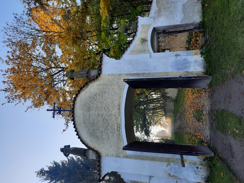 20211030 090424 web