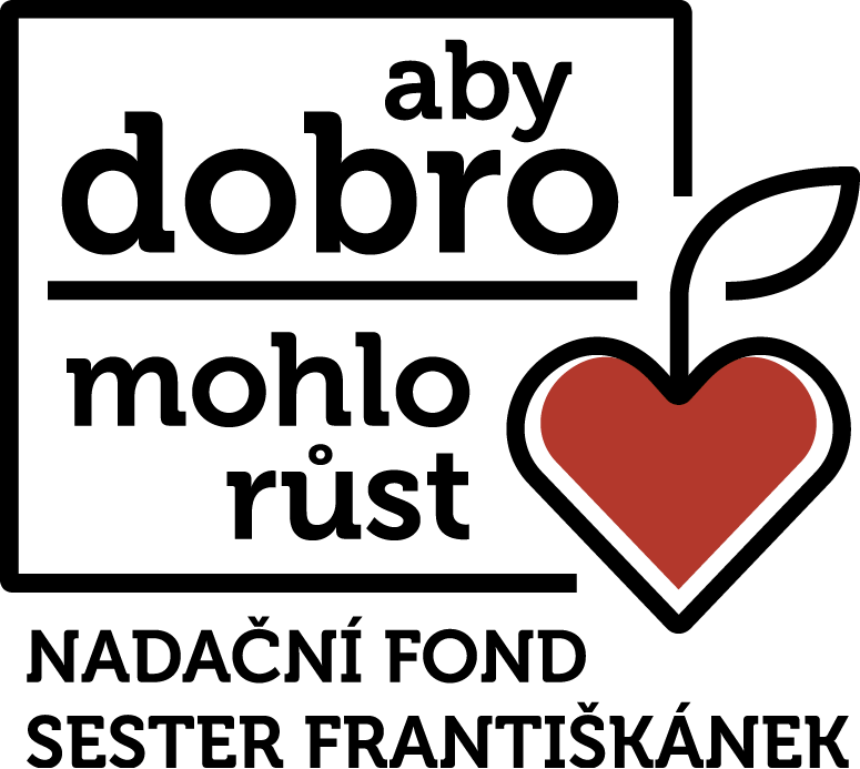 NFSF logo barevne